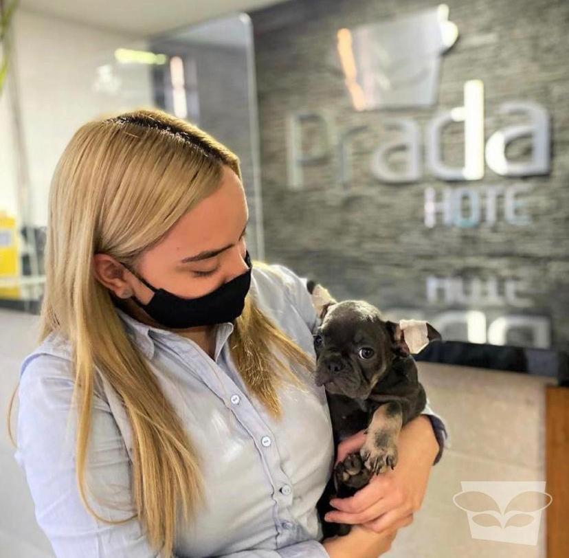 Hotel Prada Sas Bello Eksteriør billede
